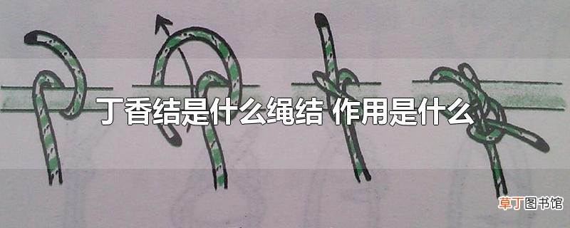 丁香结是什么绳结 作用是什么