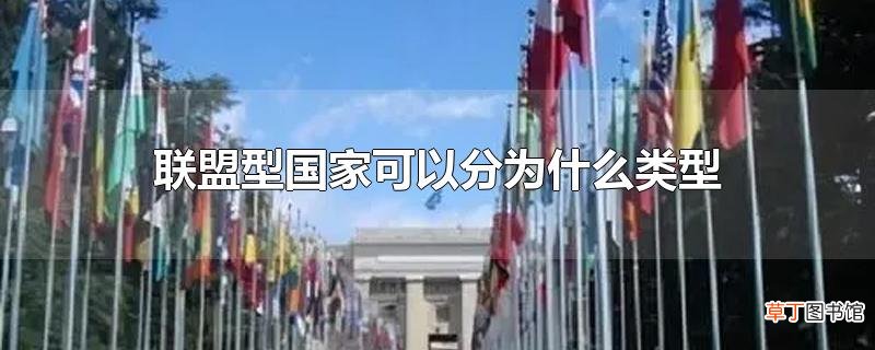 联盟型国家可以分为什么类型