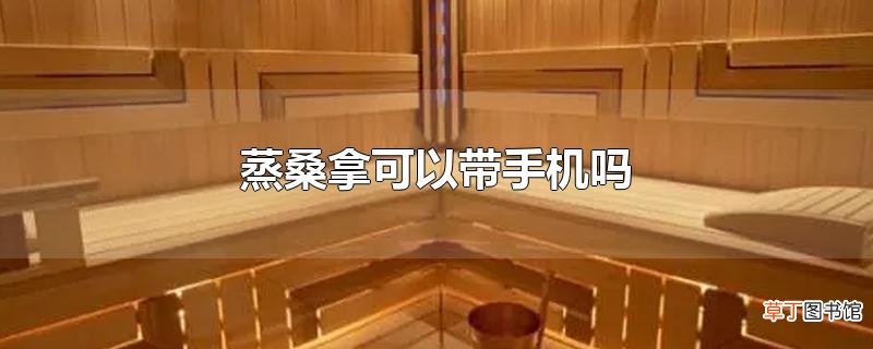 蒸桑拿可以带手机吗