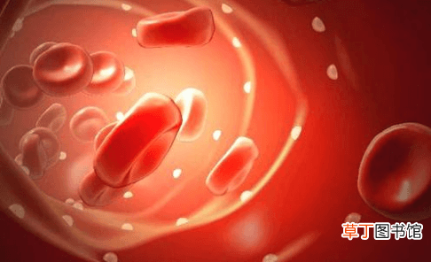尿肌酐正常范围是多少-尿肌酐正常范围是多少mmol/L