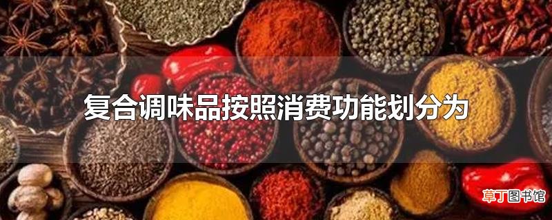 复合调味品按照消费功能划分为