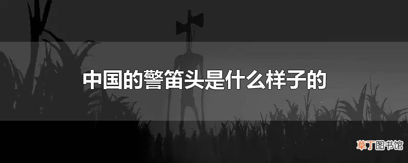 中国的警笛头是什么样子的