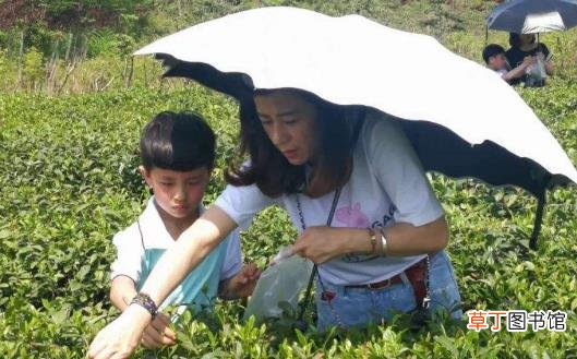 跟孩子一起亲子游 家长们一定要做好的功课