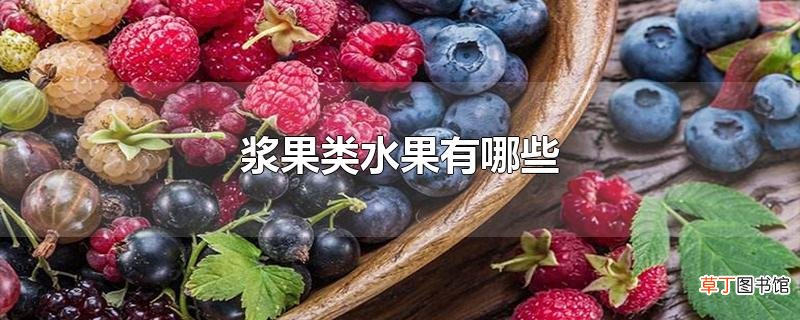 浆果类水果有哪些