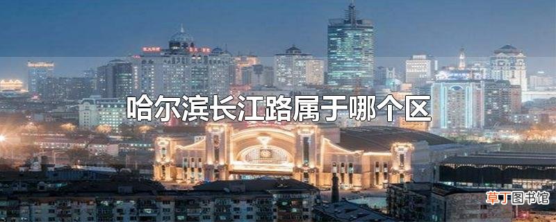 哈尔滨长江路属于哪个区