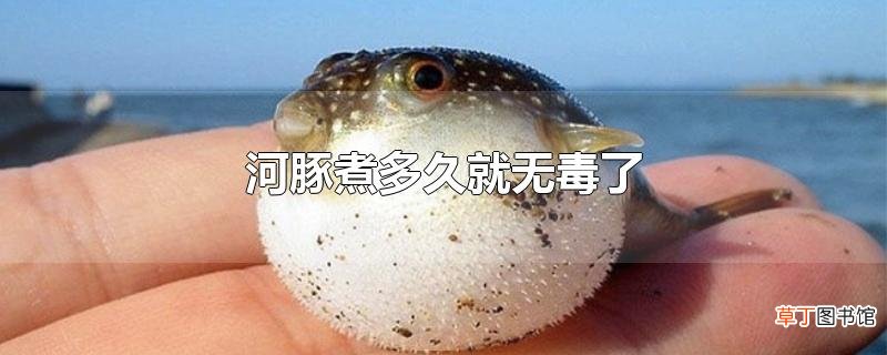 河豚煮多久就无毒了