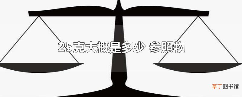 25克大概是多少 参照物