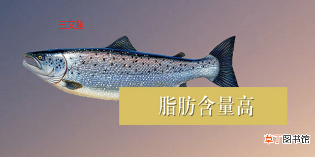 假的三文鱼是虹鳟鱼！ 怎么区别真假三文鱼