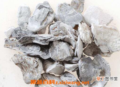 煅牡蛎的功效与作用及禁忌