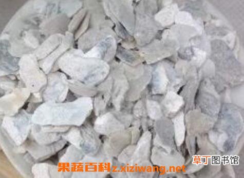 煅牡蛎的功效与作用及禁忌