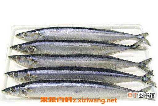 刀鱼的营养价值及功效