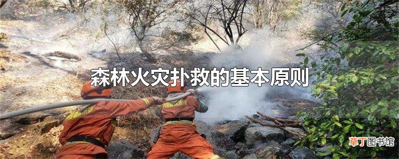 森林火灾扑救的基本原则