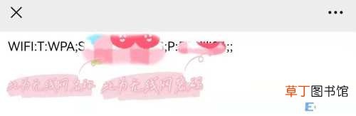 手机怎样查询已连接的wifi密码 怎么查看已连接的wifi密码
