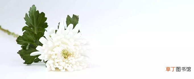怀念亲人逝世的诗句有哪些？