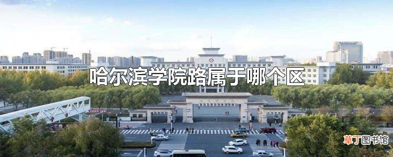 哈尔滨学院路属于哪个区