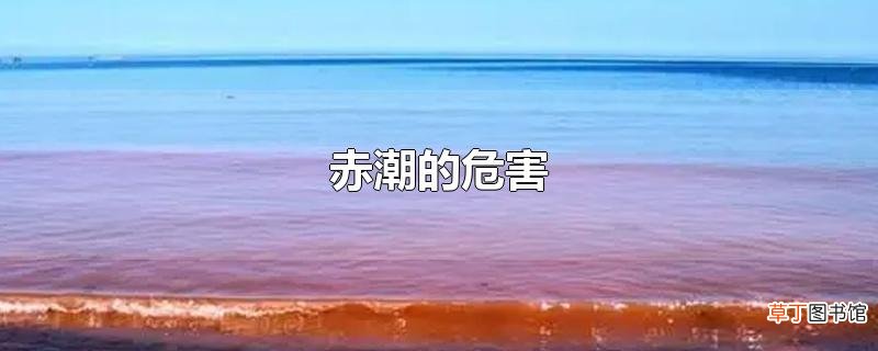 赤潮的危害