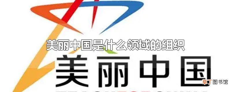 美丽中国是什么领域的组织
