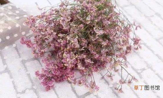 如何让鲜花长开不败 教你科学延长鲜花的保鲜期