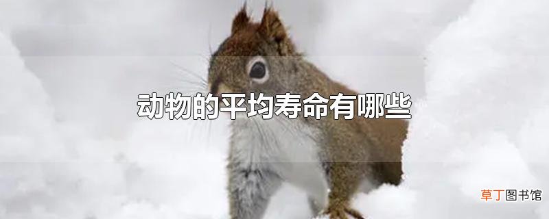 动物的平均寿命有哪些