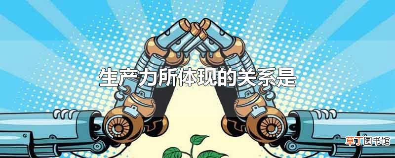 生产力所体现的关系是