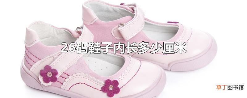 26码鞋子内长多少厘米