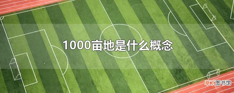 1000亩地是什么概念