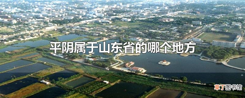 平阴属于山东省的哪个地方