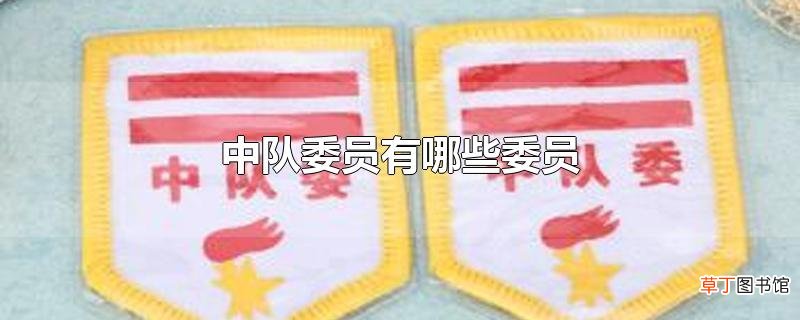 中队委员有哪些委员