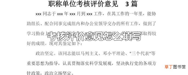 考核评价意见怎么填写