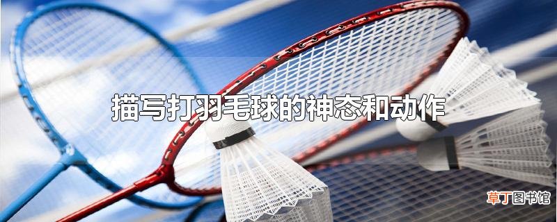 描写打羽毛球的神态和动作