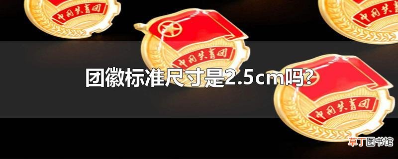 团徽标准尺寸是2.5cm吗?