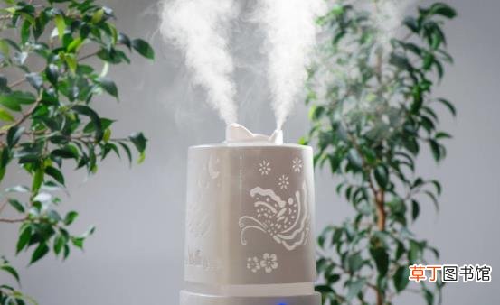 嘴唇易干裂上火怎么办 正确使用加湿器可改善皮肤干燥状况