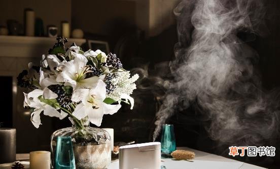 嘴唇易干裂上火怎么办 正确使用加湿器可改善皮肤干燥状况