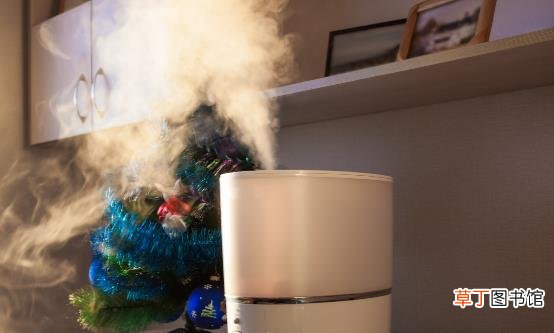 嘴唇易干裂上火怎么办 正确使用加湿器可改善皮肤干燥状况