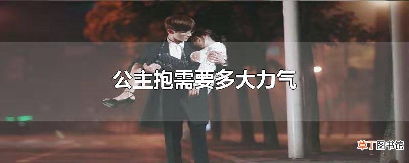 公主抱需要多大力气