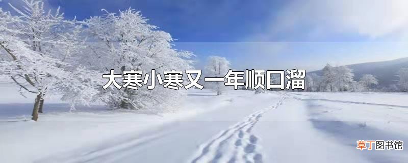 大寒小寒又一年顺口溜