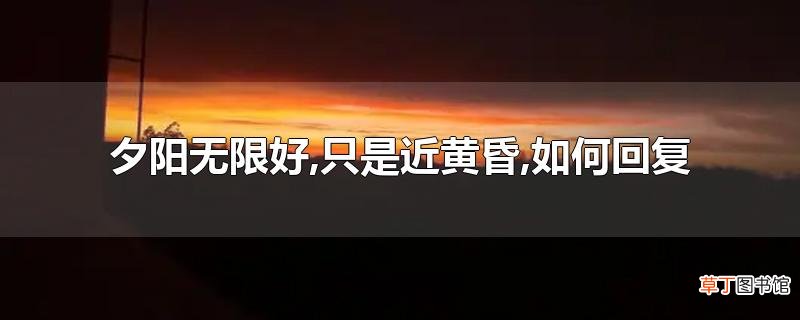 夕阳无限好,只是近黄昏,怎么回复