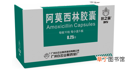 头孢和阿莫西林的区别-头孢和阿莫西林可以一起吃吗