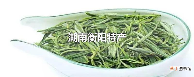 湖南衡阳特产
