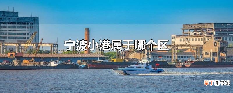 宁波小港属于哪个区