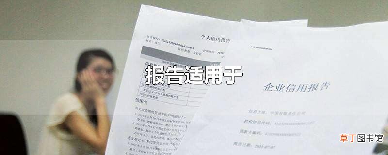 报告适用于