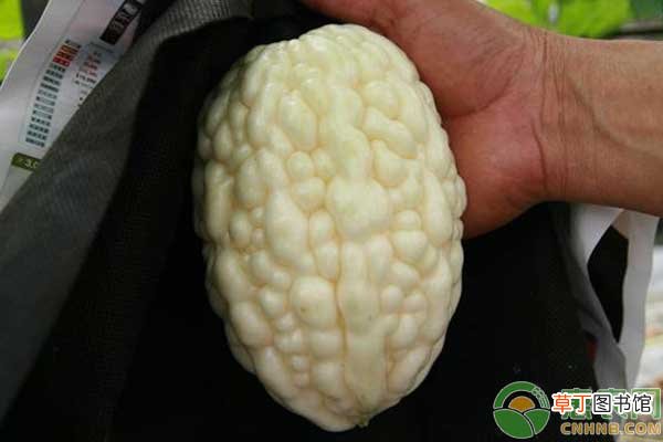 芒种是什么意思？各地气候有何变化？