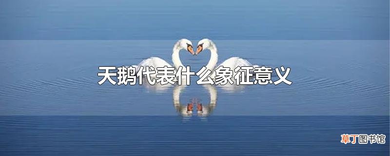 天鹅代表什么象征意义