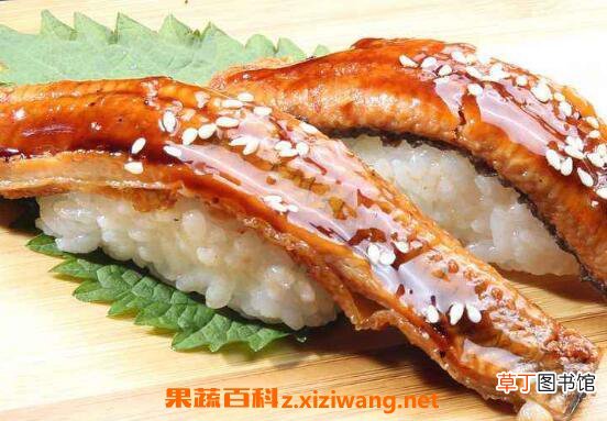 长江鳗鱼的功效与作用