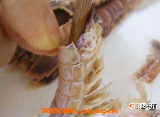 生虾怎么去皮 如何快速剥生虾壳