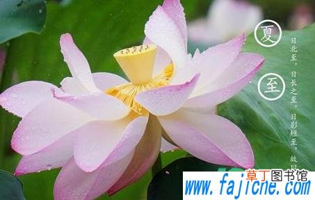 2021年夏至有什么禁忌 2021年夏至请吃喜宴可以吗