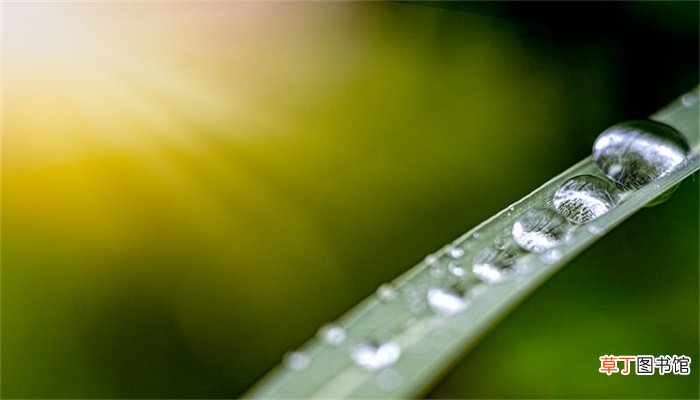 露珠晶莹是什么季节