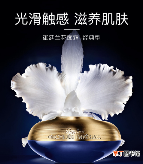 紧致抗皱的护肤品