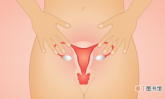 女人宫寒危害多多 推荐几款调理宫寒的食物