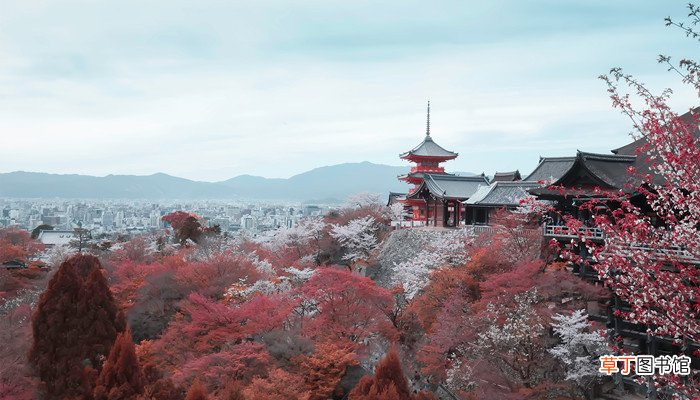 日本的主要气候特征